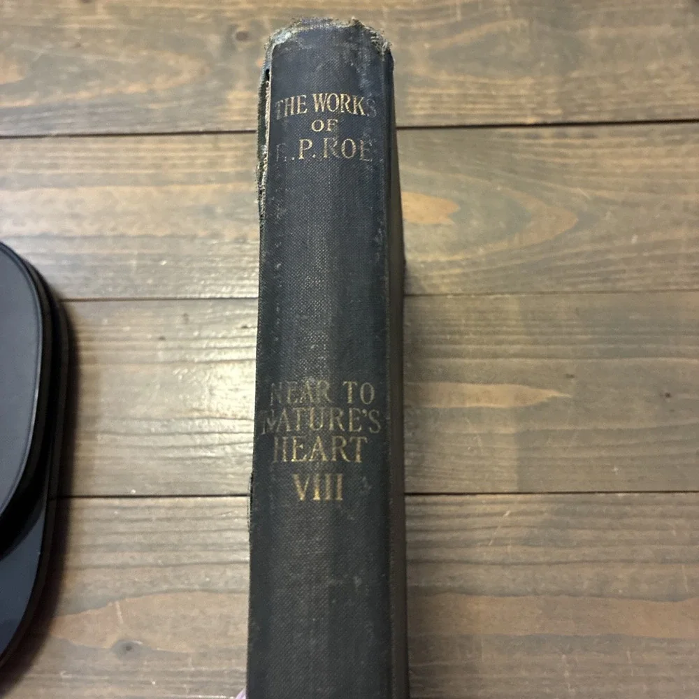 Near To Natures Heart VIII  by E.P. Roe, Dodd, Mead & Co 1876 Hardcover Antique